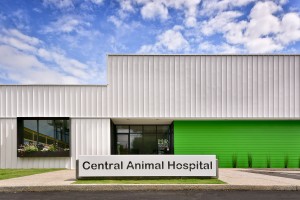 Central Animal Hospital - 1